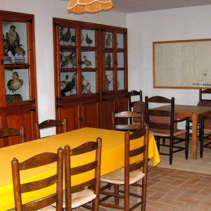 Mas de Buda