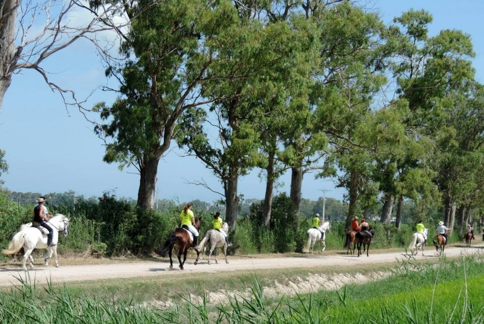 Romeria de Sant Pere