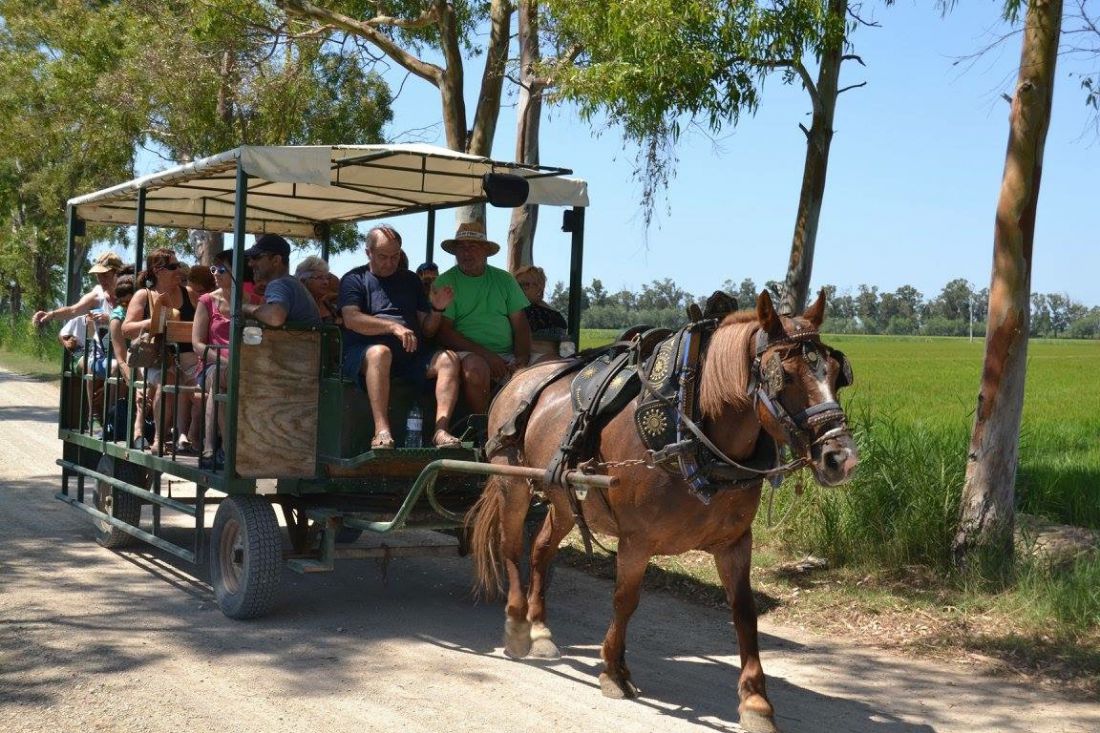 Romeria Illa de Buda