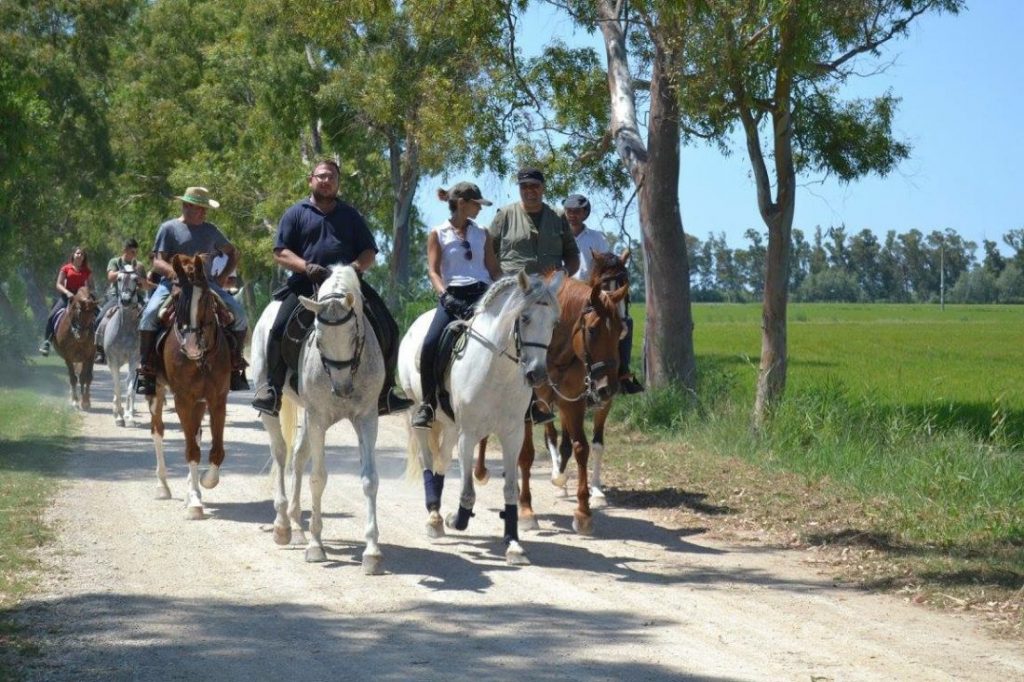 Romeria Illa de Buda