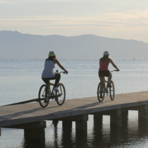 Riu a l'Ebre Sant Jaume d'Enveja