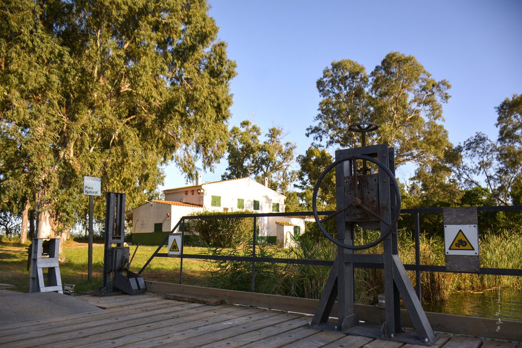 Illa de Buda Delta de l'Ebre Sant Jaume d'Enveja